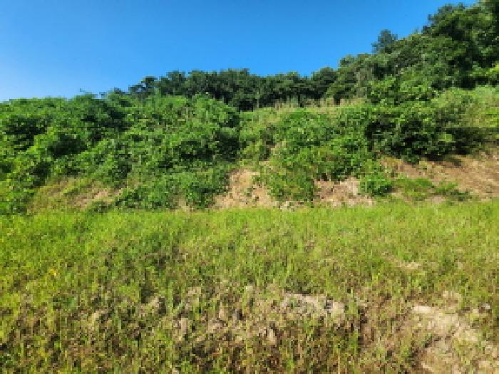순천지원 2025타경554-1 사진