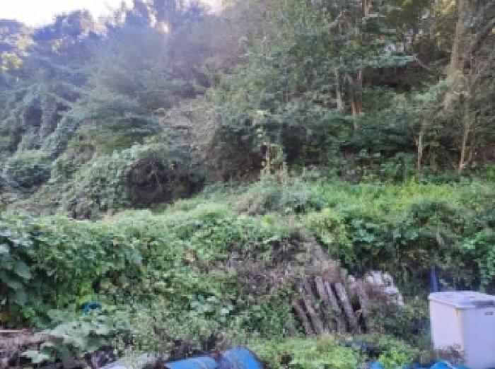 순천지원 2025타경632-1 사진