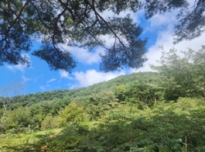 순천지원 2025타경645-3 사진