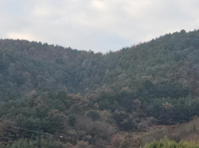 순천지원 2025타경710-3 사진