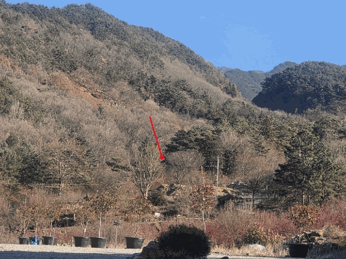 순천지원 2025타경730-1 사진