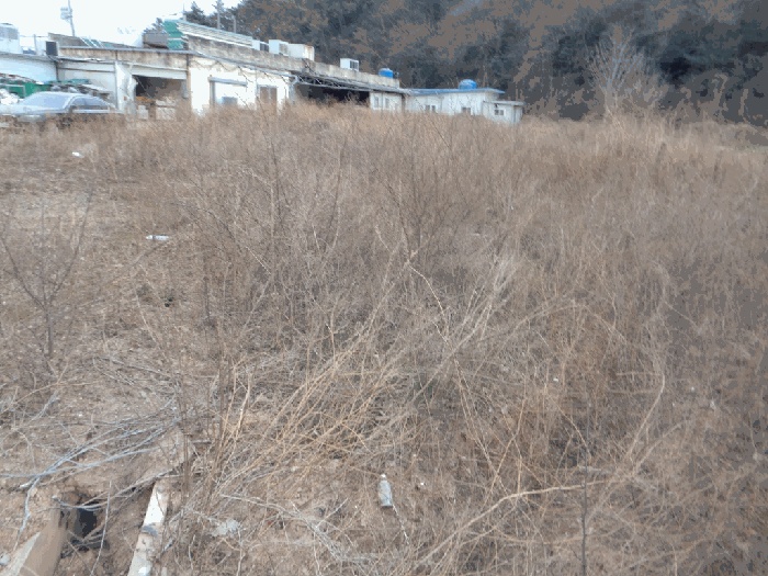순천지원 2025타경746-1 사진
