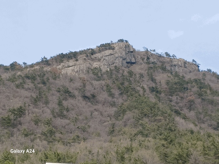순천지원 2025타경51233-1 사진