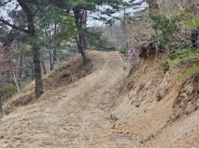 순천지원 2025타경51263-1 사진