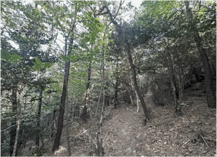 순천지원 2025타경51385-3 사진