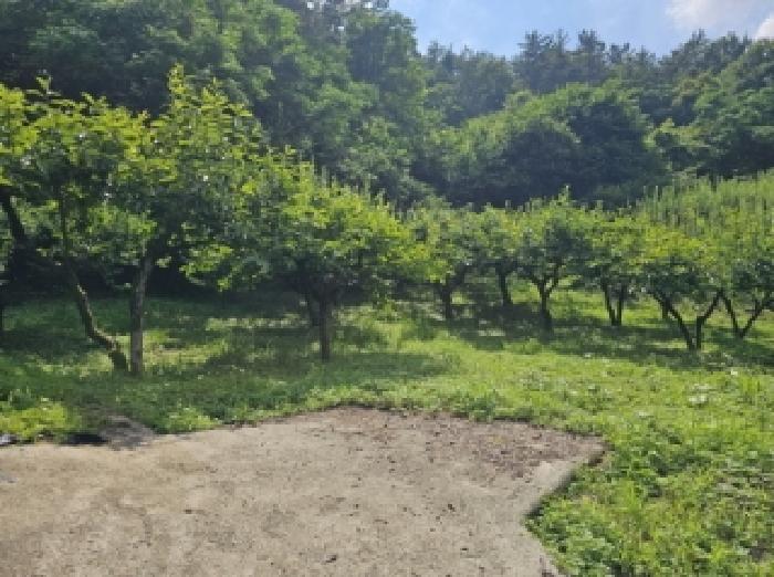 순천지원 2025타경51450-1 사진