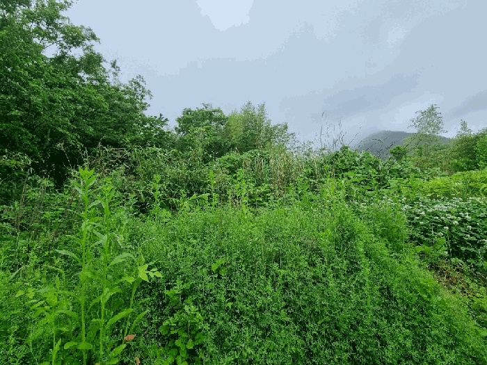 순천지원 2025타경51496-1 사진