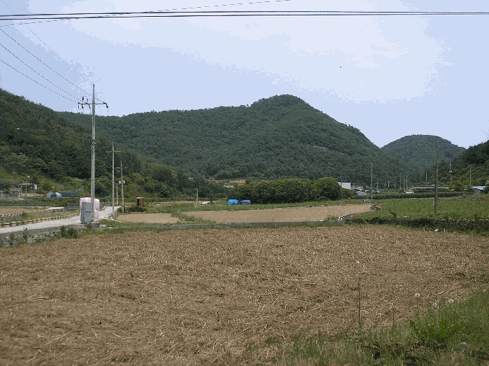 순천지원 2025타경51568-2 사진