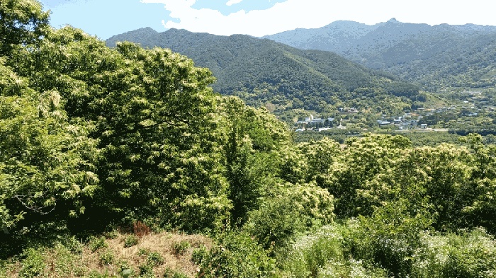 순천지원 2025타경51590-3 사진