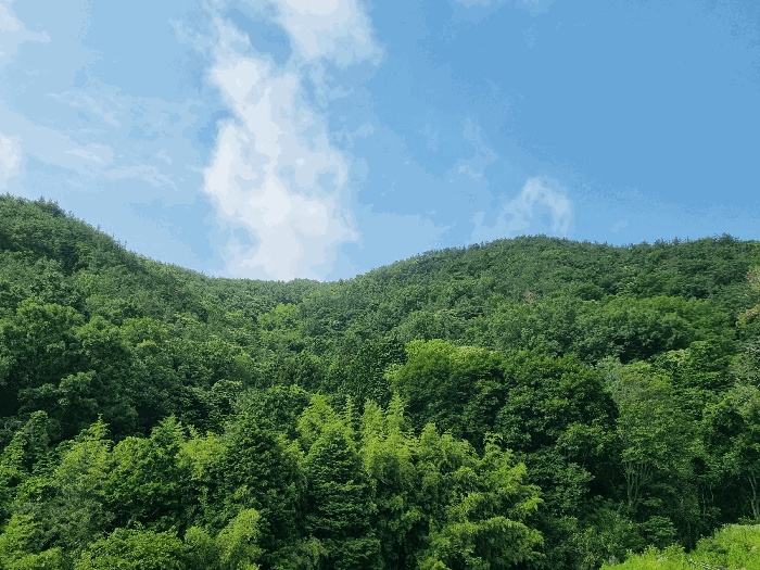 순천지원 2025타경51594-1 사진