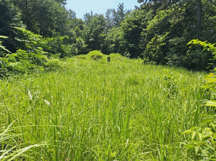 순천지원 2025타경51632-1 사진