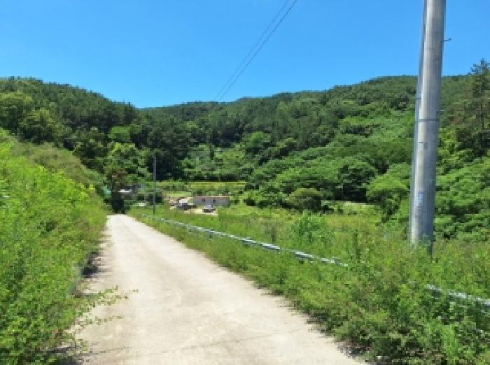 순천지원 2025타경51657-1 사진