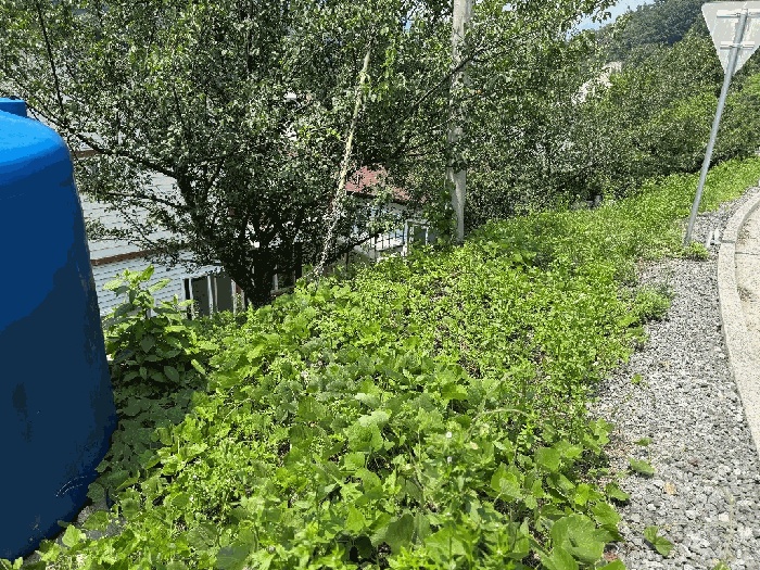 순천지원 2025타경51660-1 사진