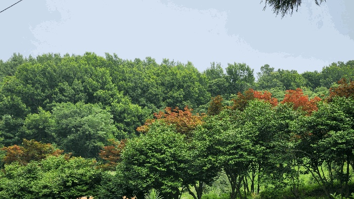 순천지원 2025타경51694-2 사진