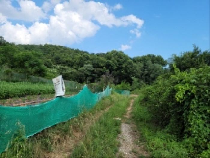 순천지원 2025타경51702-1 사진