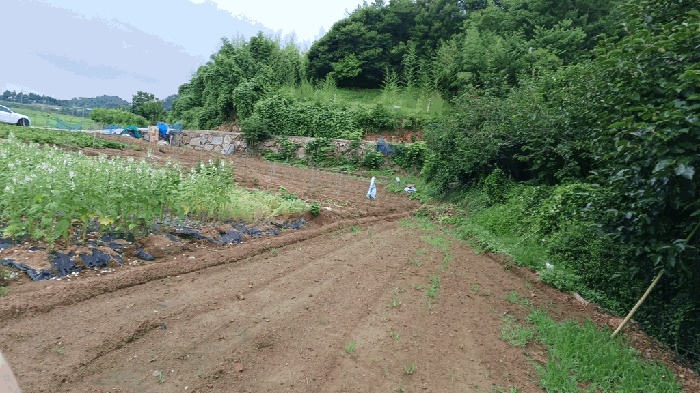 순천지원 2025타경51751-2 사진