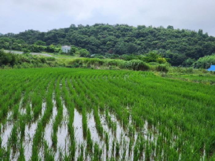 순천지원 2025타경51763-1 사진
