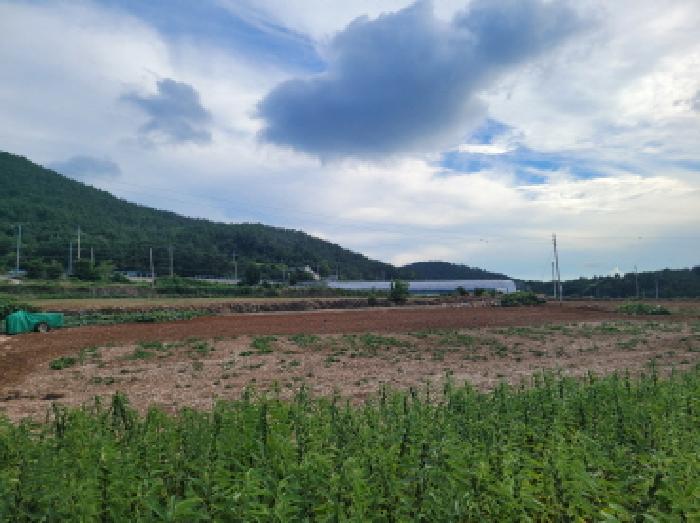 순천지원 2025타경51779-1 사진