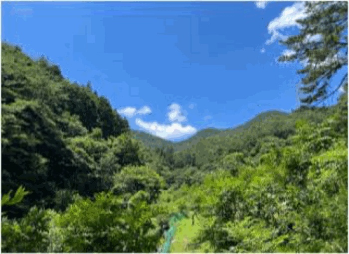 순천지원 2025타경51792-1 사진