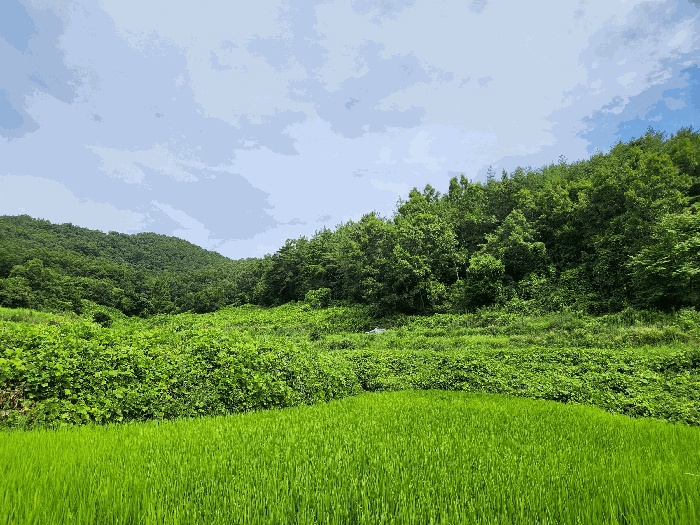 순천지원 2025타경51889-1 사진