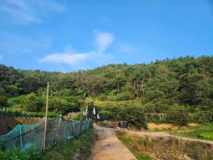 순천지원 2025타경51937-1 사진