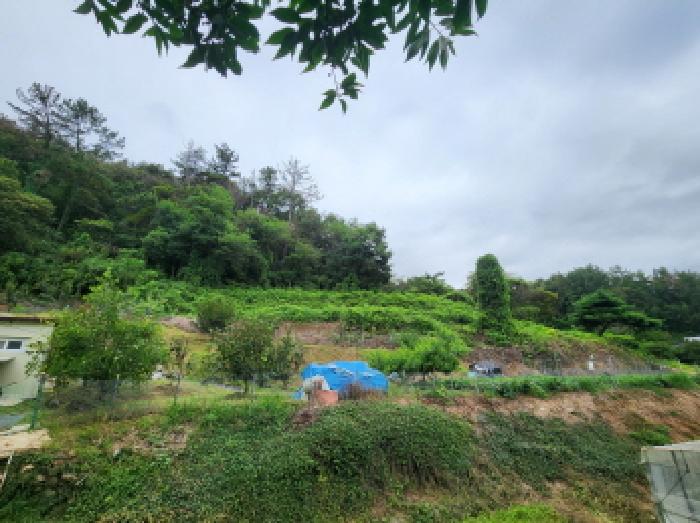 순천지원 2025타경51957-1 사진