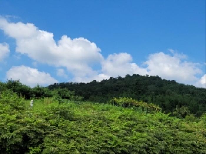 순천지원 2025타경52003-2 사진