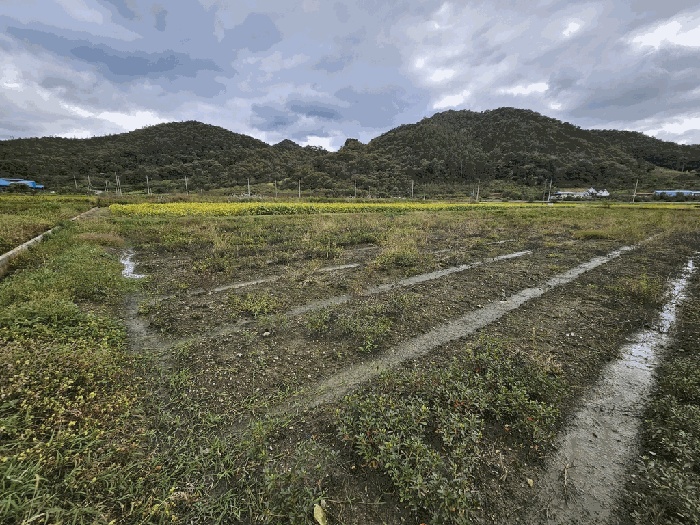 순천지원 2025타경52099-2 사진