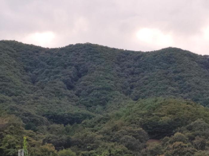 순천지원 2025타경52224-1 사진
