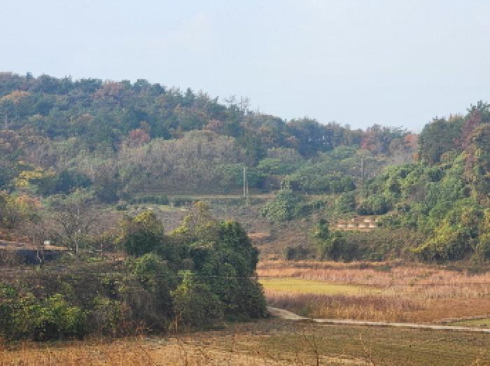 순천지원 2025타경52248-1 사진