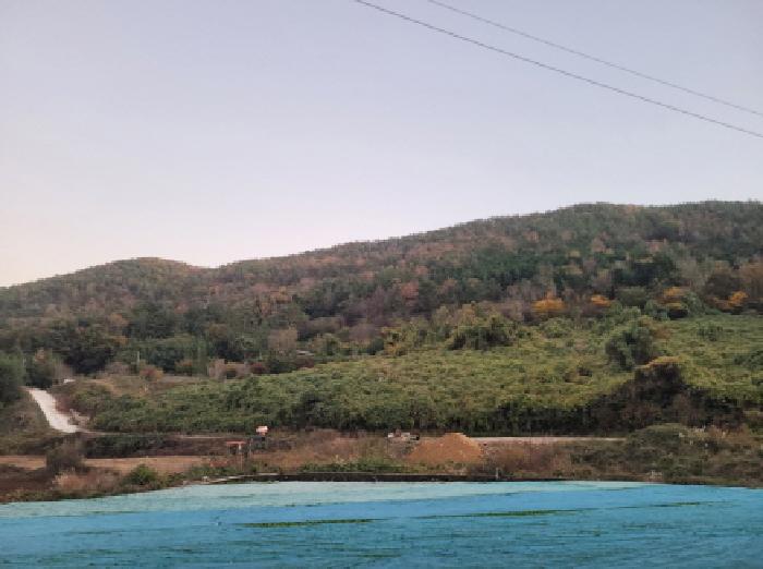 순천지원 2025타경52310-1 사진