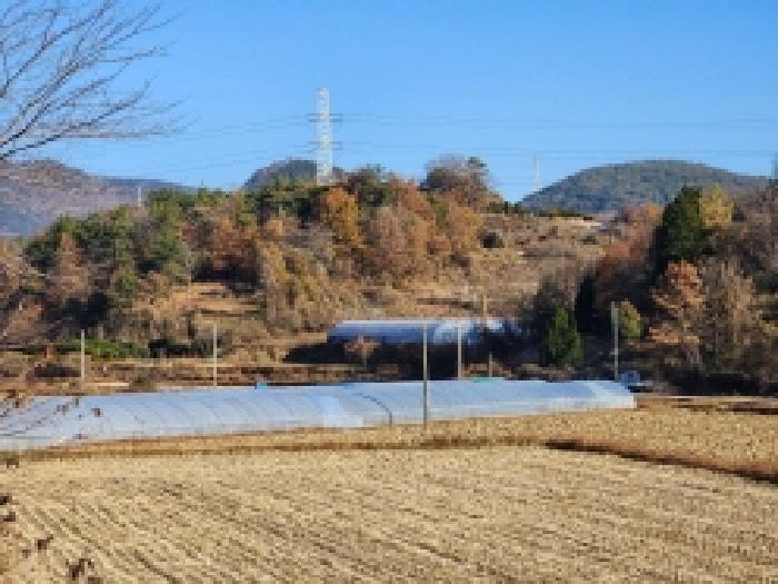 순천지원 2025타경52334-1 사진