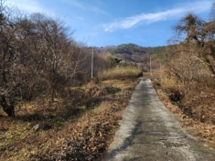 순천지원 2025타경52356-1 사진