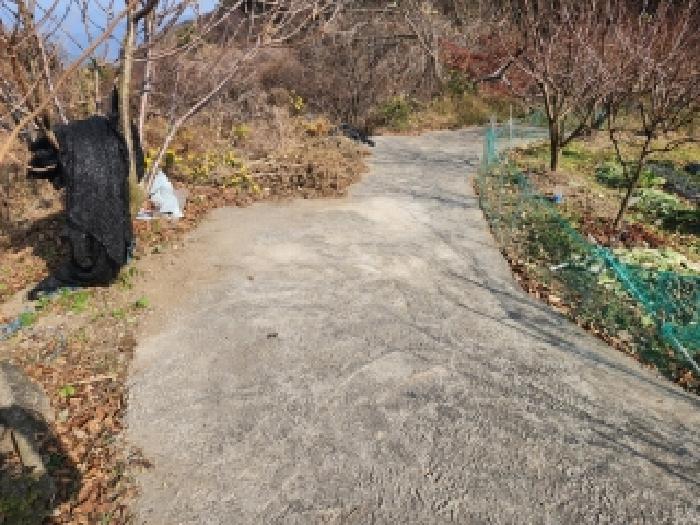순천지원 2025타경52358-1 사진
