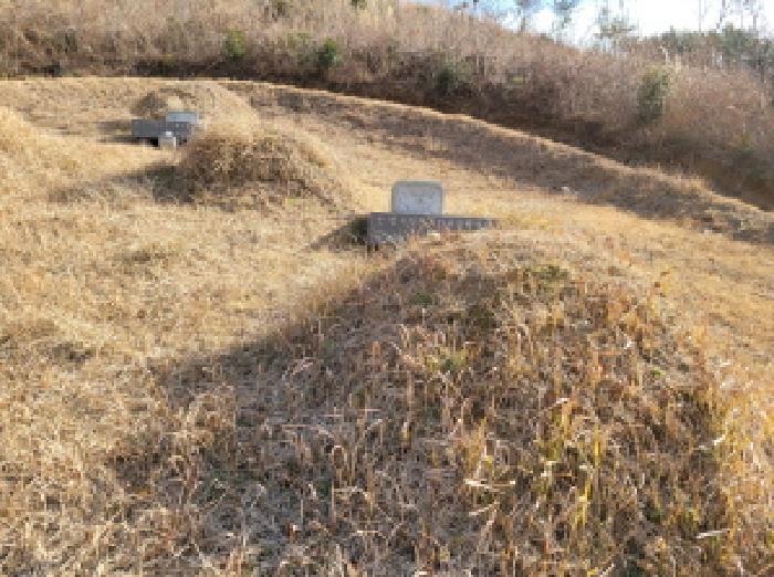 순천지원 2025타경52409-1 사진