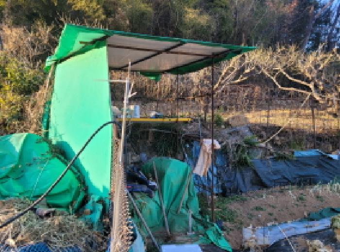 순천지원 2025타경52468-2 사진