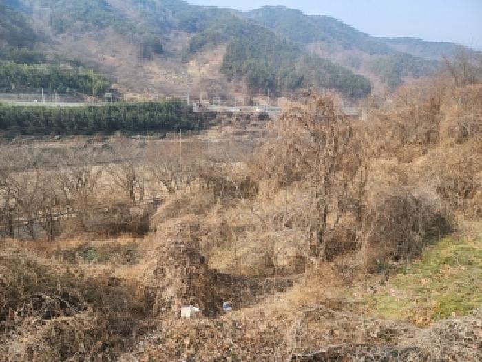 순천지원 2025타경52499-2 사진