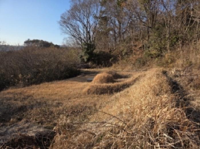 순천지원 2025타경52513-1 사진