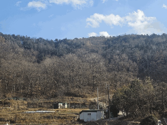 순천지원 2025타경52543-1 사진