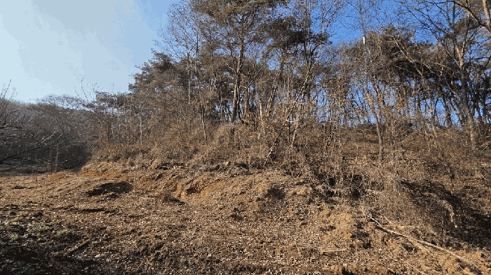 순천지원 2026타경10-3 사진