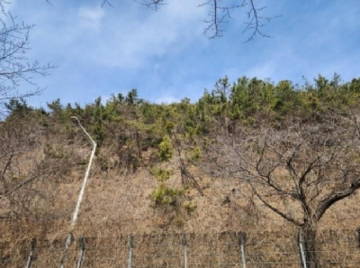 순천지원 2026타경11-2 사진