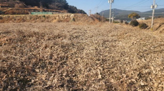 순천지원 2026타경15-1 사진