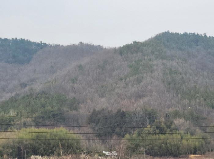 순천지원 2026타경59-1 사진