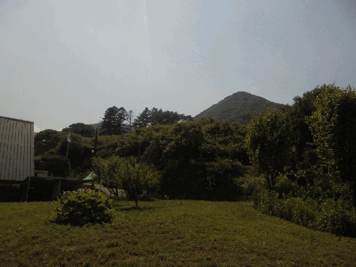 순천지원 2026타경129-1 사진
