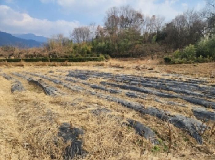 순천지원 2026타경50006-2 사진