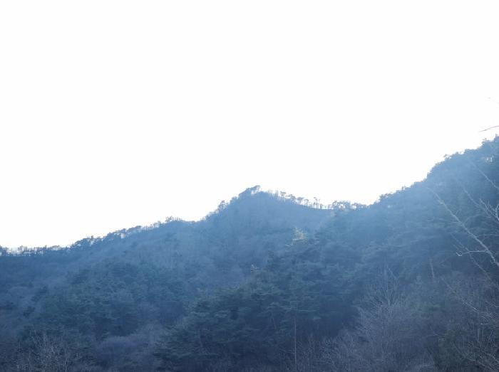 순천지원 2026타경50035-1 사진