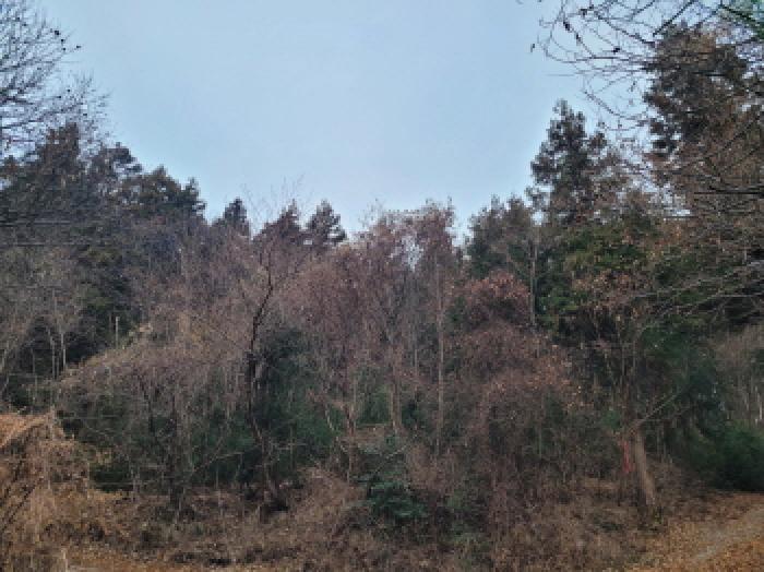 순천지원 2026타경50111-1 사진