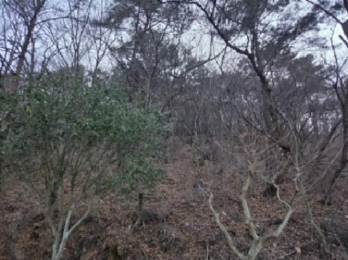 순천지원 2026타경50139-1 사진