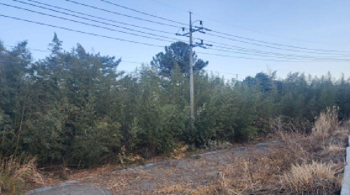 순천지원 2026타경50157-2 사진