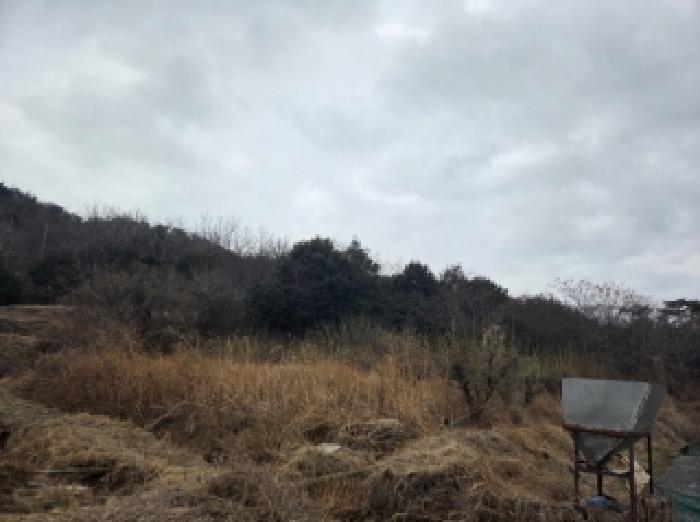 순천지원 2026타경50225-1 사진